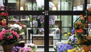 Александр Кулик дал поручение на расширение практики выращивания тюльпанов в стране