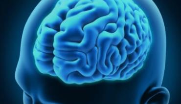 Пальцы новорожденного расскажут о работе гормонов еще до его рождения