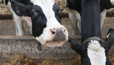 Власти РБ пролонгировали регулировку цен на товары для сельского хозяйства